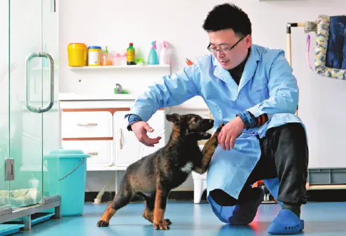 Kèlóng jǐngquǎn: Cão policial clonado